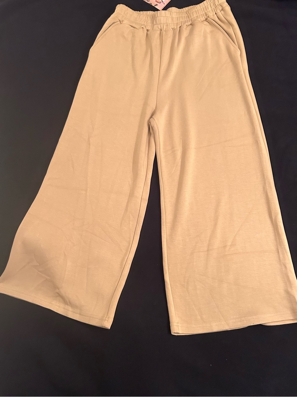 Molly Green Women's Beige Wide-Leg Pants Flat Front Solid Elastic Waist L